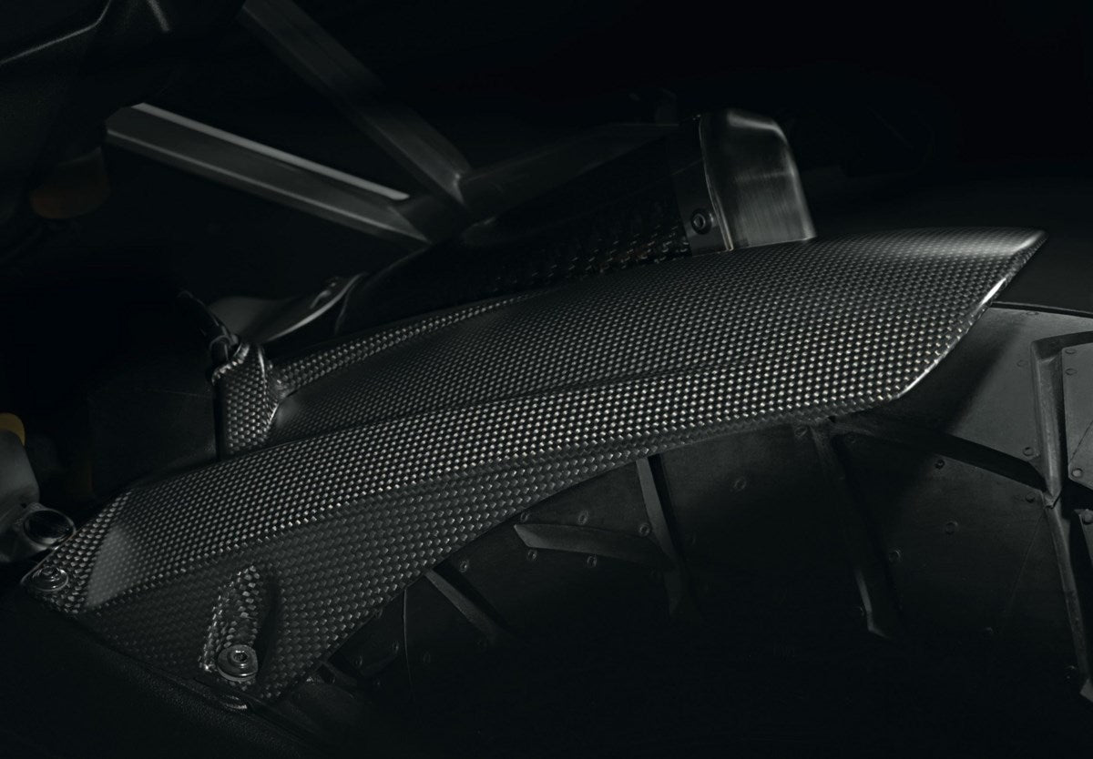 Parafango posteriore per forcellone monobraccio