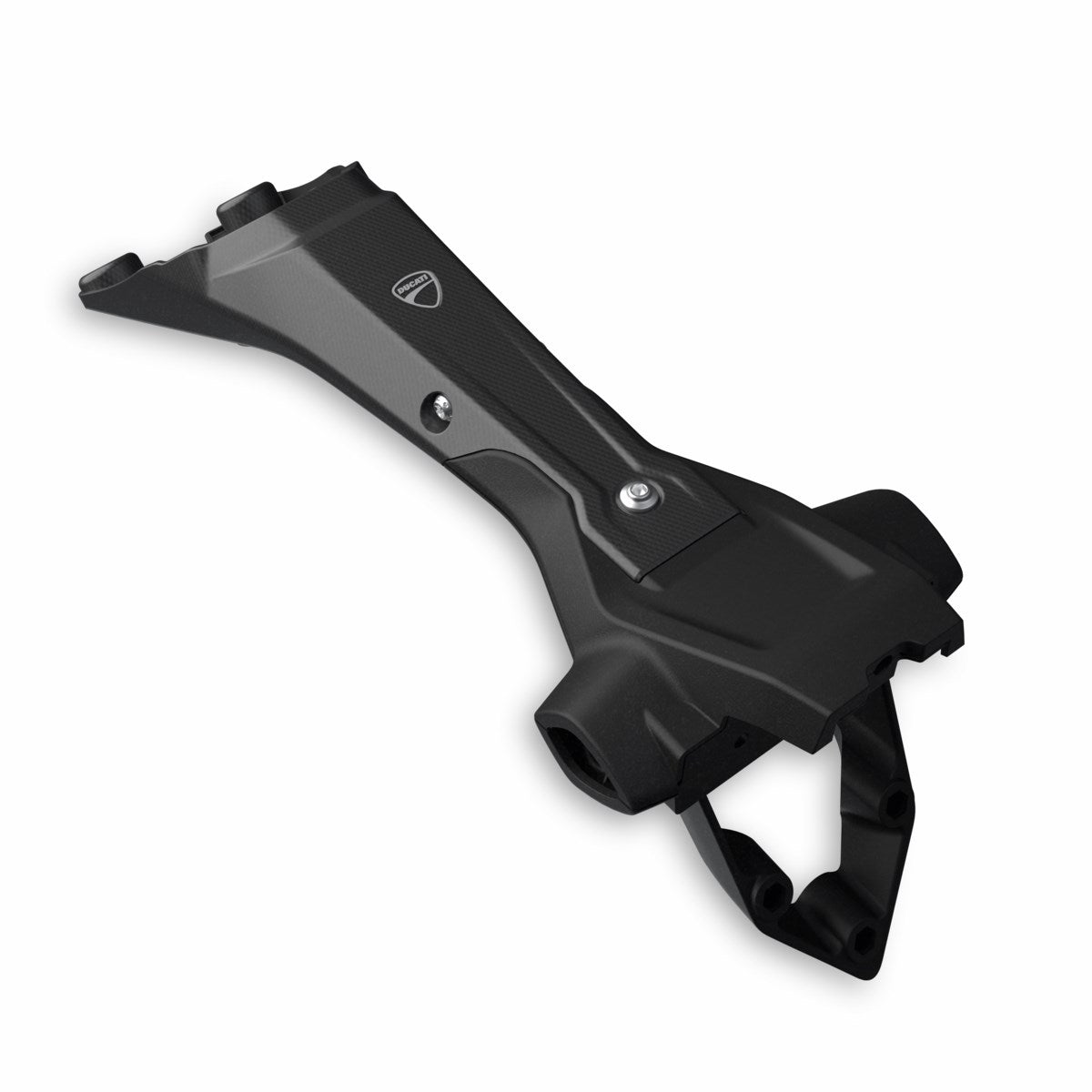 Portatarga in carbonio